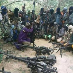 Bandits/Terrorists in Nigeria