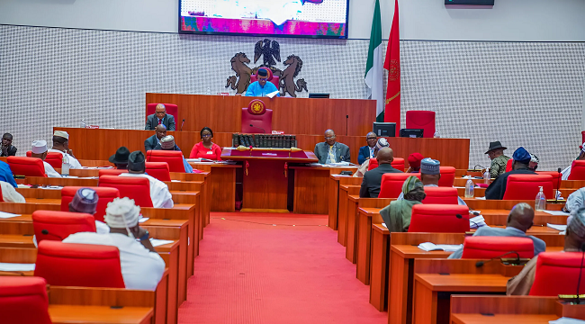 The Senate has said the passage of the state police bill was based on national consensus, the country’s security needs, and not politics