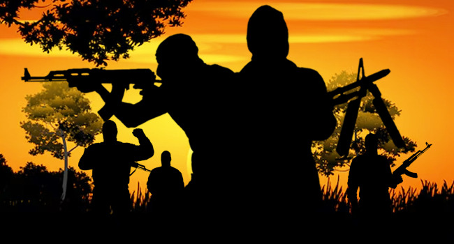 Katsina Reprisal Attack Leaves 11 Dead in Kankia Communities