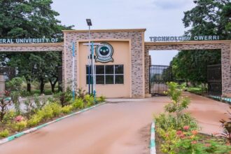 Panic as Suspected Gunmen Invade FUTO Host Community