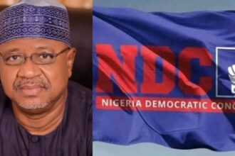 ADA Promoter threatens Obi, Kwankwaso NDC Alliance