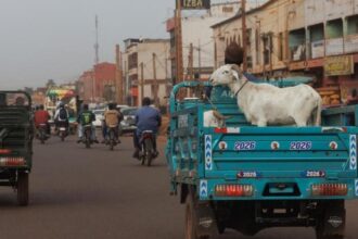 Jihadist Blockade Traps Families in Bamako as Eid Celebrations Collapse