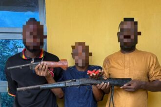 The Oyo State Police Command has arrested three suspected vehicle snatchers and recovered arms from them