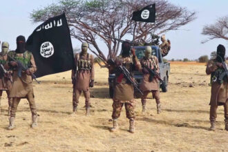 Boko Haram kills soldiers in Borno attack