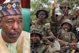 Soldiers Raise Concerns Over Alleged Directive To Work With Reintegrated Ex-Boko Haram Fighters