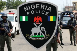 Adamawa Police Arrest Two Over Alleged Sale of Fake Phones to Customers