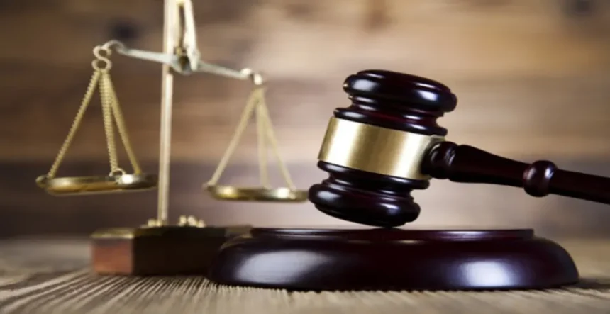Court Jails Notorious Adamawa Thief 12 Years Without Option of Fine