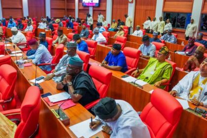 Senate Gives NNPCL, CBN, NDDC, Others 72 Hours to Answer Audit Queries